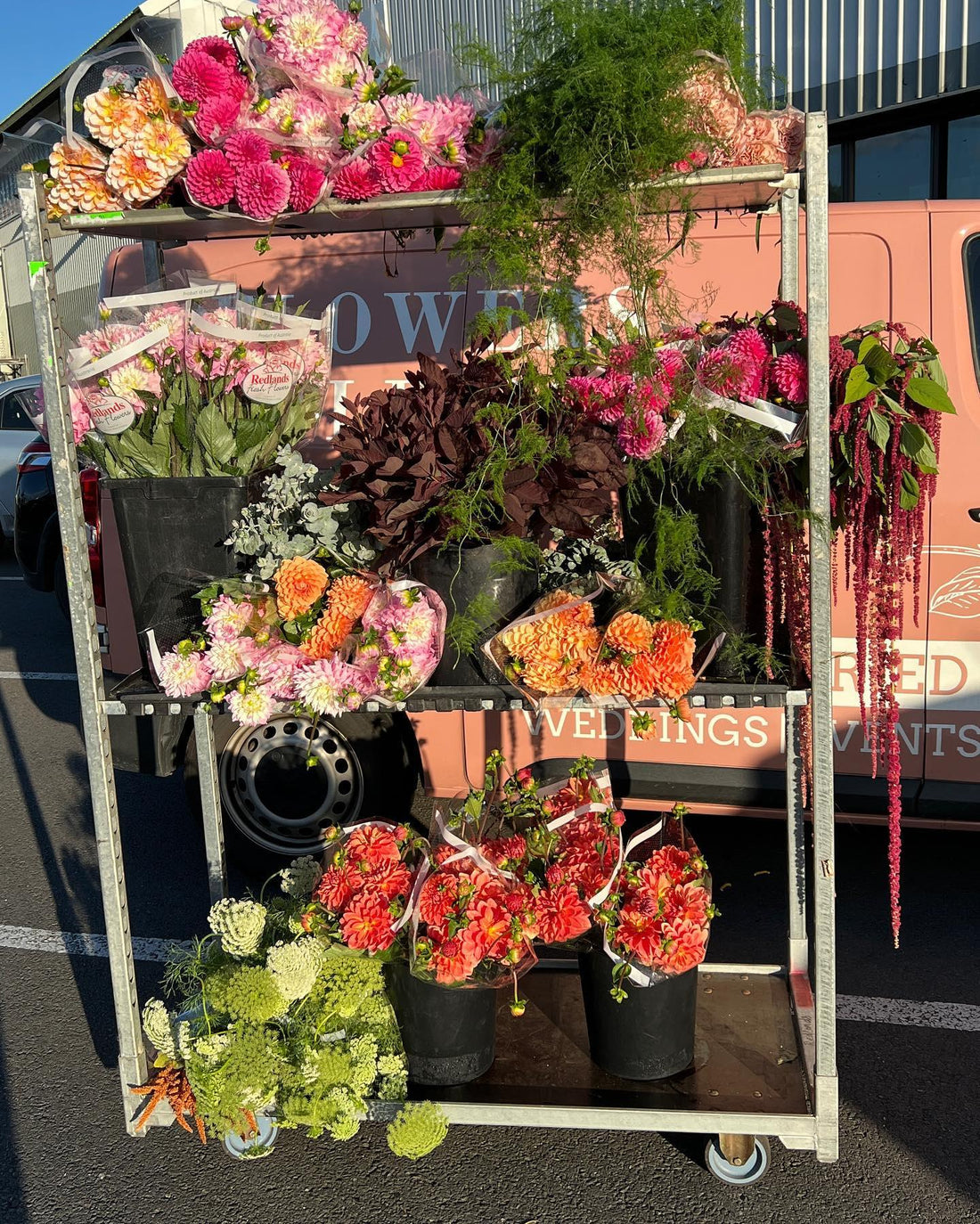 M A R K E T  R U N 

Check out some of the goodies we got today 🤍

Local Dahlias, Amaranthus, Que made with love by Flowers Gold Coast www.flowersgoldcoast.com.au the Gold Coast's best Florist- Same Day Flower Delivery