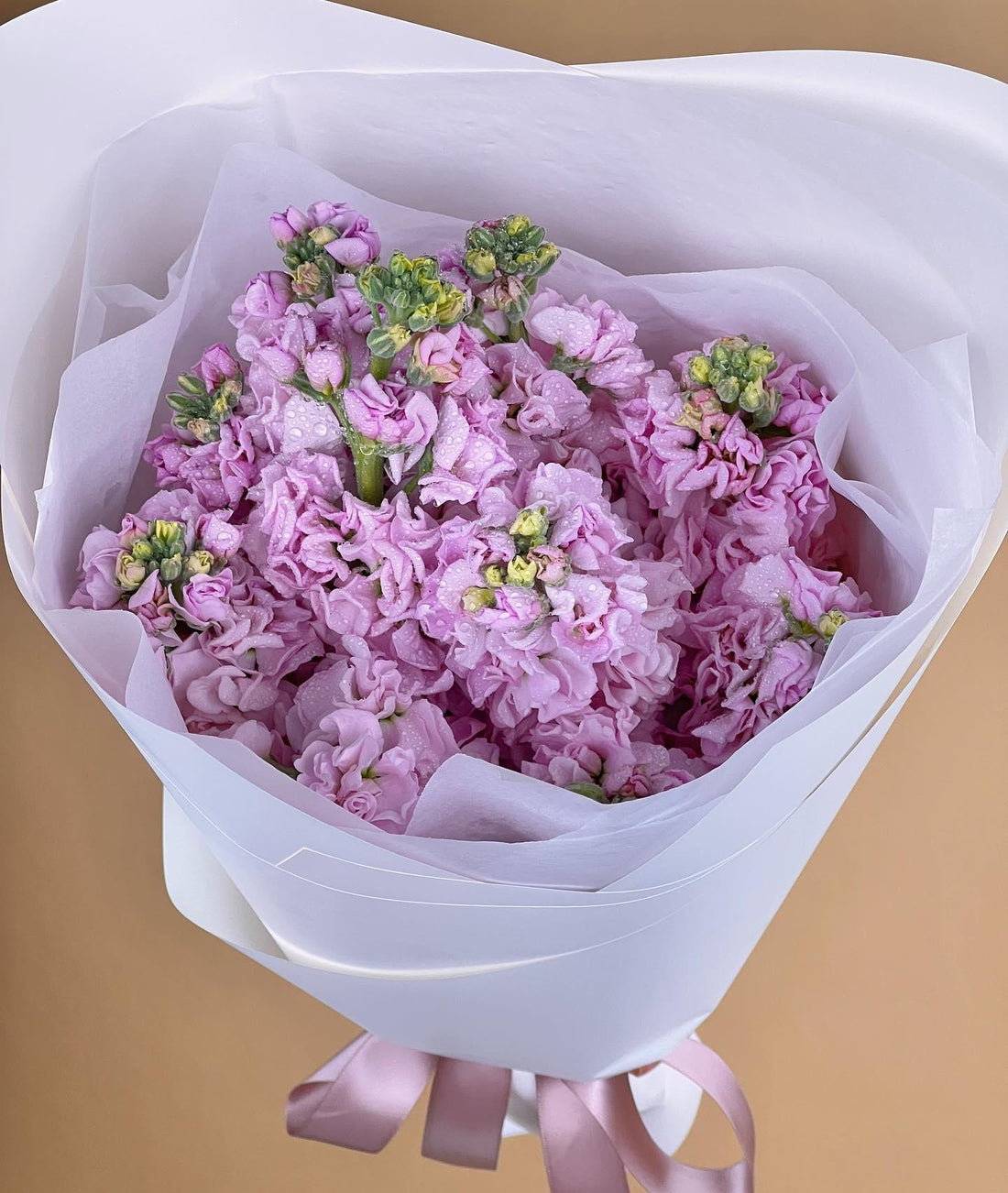 S P R I N G  S T O C K

We absolutely love the fragrance of these locally grown Stock flowers 💕 made with love by Flowers Gold Coast www.flowersgoldcoast.com.au the Gold Coast's best Florist- Same Day Flower Delivery