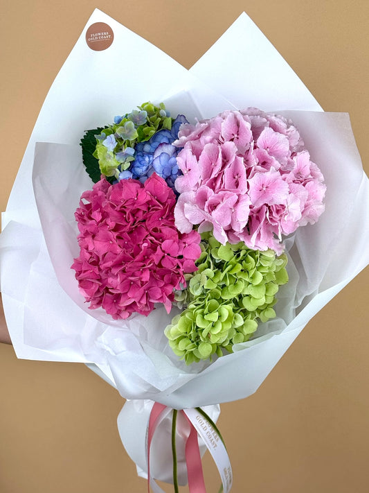 Hydrangea En Masse-Flower-Delivery-Gold-Coast-Florist-Flowers Gold Coast-Beautifully Wrapped-Light Pink-Classique-https://www.flowersgoldcoast.com.au-best-florist