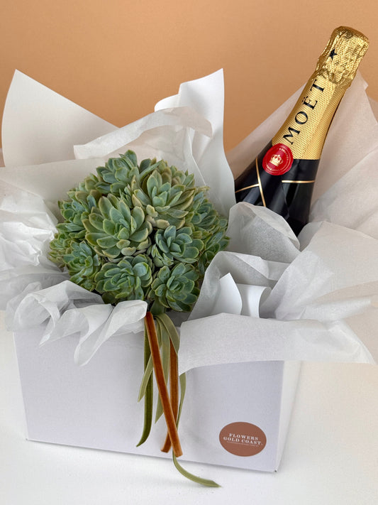 Succulent Bubbly Duo Hamper-Flower-Delivery-Gold-Coast-Florist-Flowers Gold Coast-https://www.flowersgoldcoast.com.au-best-florist