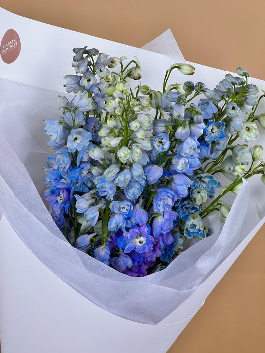 Delphinium Bunch - Fresh Cut Flowers made with love by Flowers Gold Coast www.flowersgoldcoast.com.au the Gold Coast's best Florist - Same Day Flower Delivery